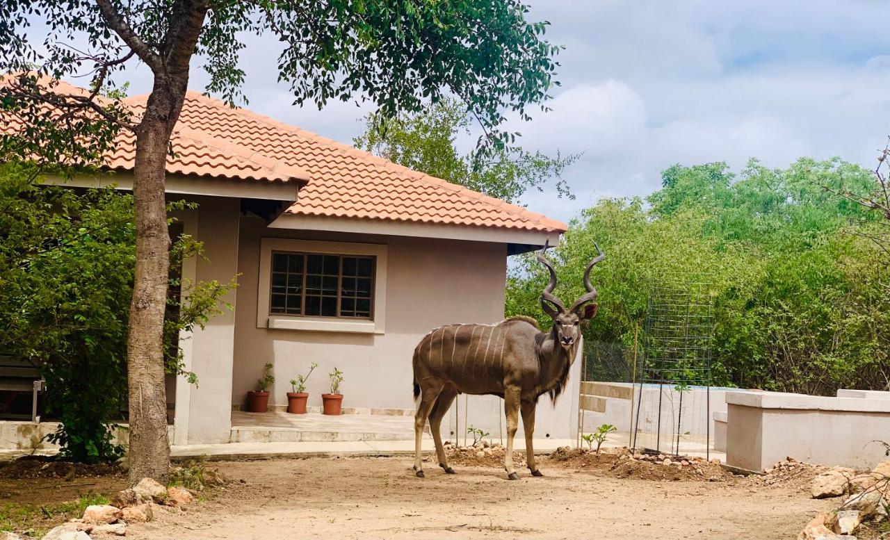 Impala Lily Villa Marloth Park Exterior foto