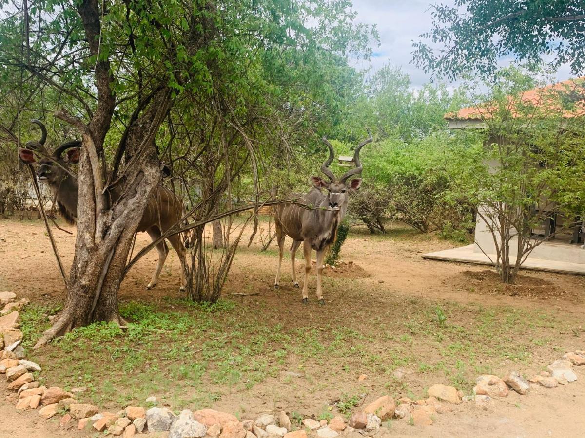 Impala Lily Villa Marloth Park Exterior foto